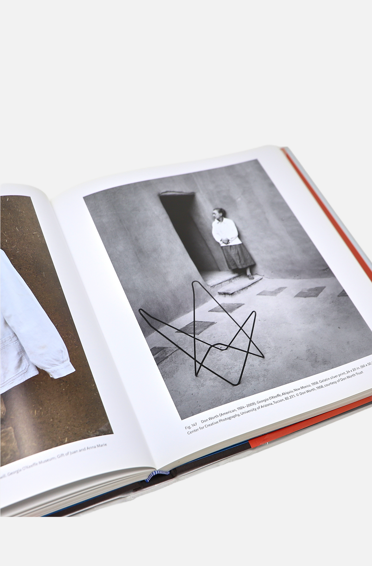 Georgia O'keefe: Living Modern - Brooklyn Museum and Delmonico Books