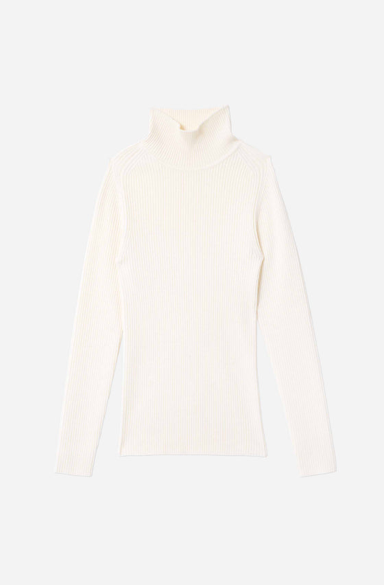 The Classic Turtleneck