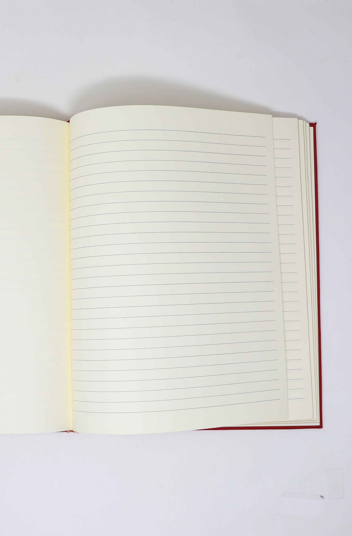 The Alex Eagle Notebook
