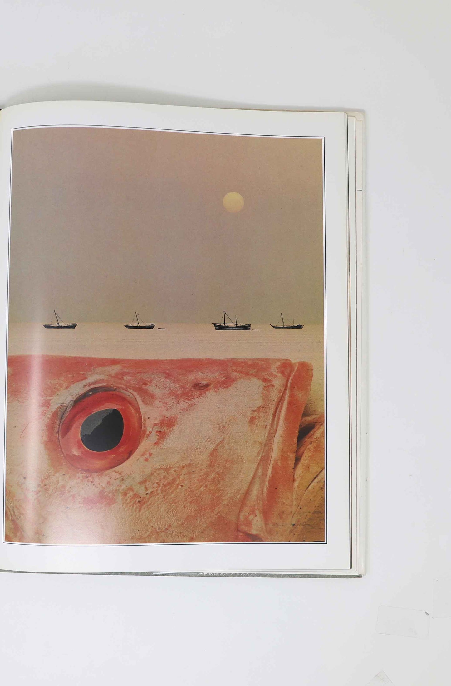 Sam Haskins - Photo Graphics