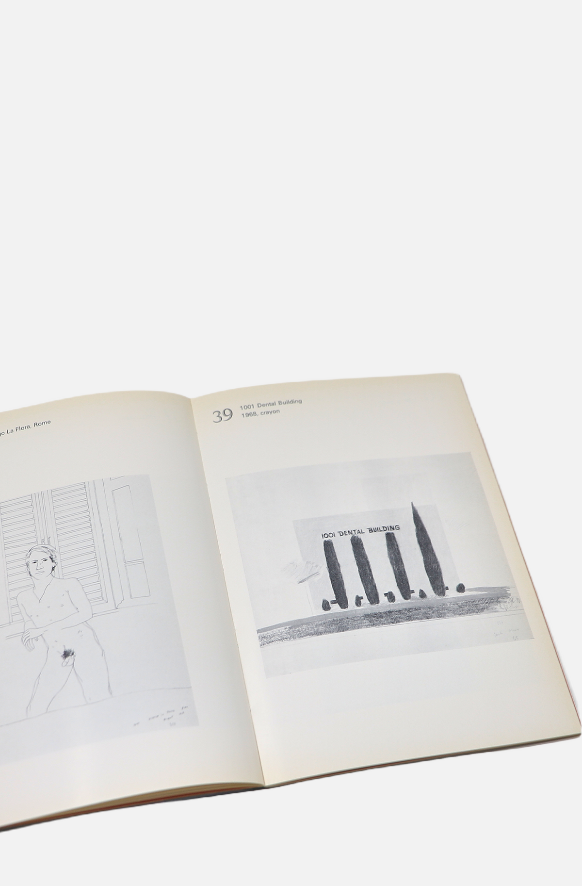 72 Drawings by David Hockney - Cape
