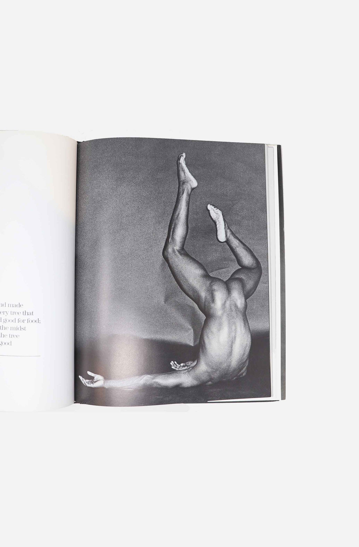 Adam - Geoffrey Holder