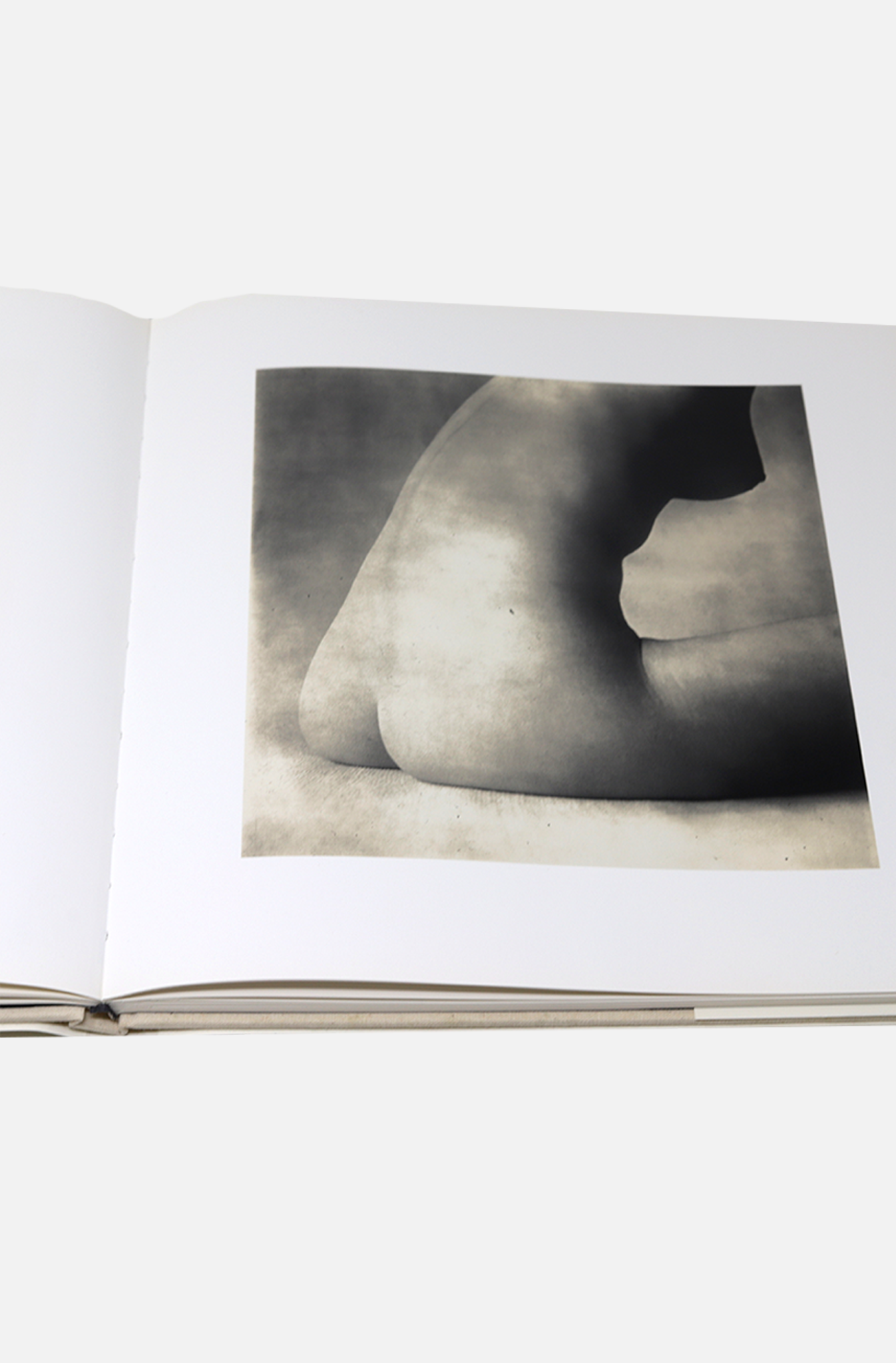 IRVING PENN - EARTHLY BODIES