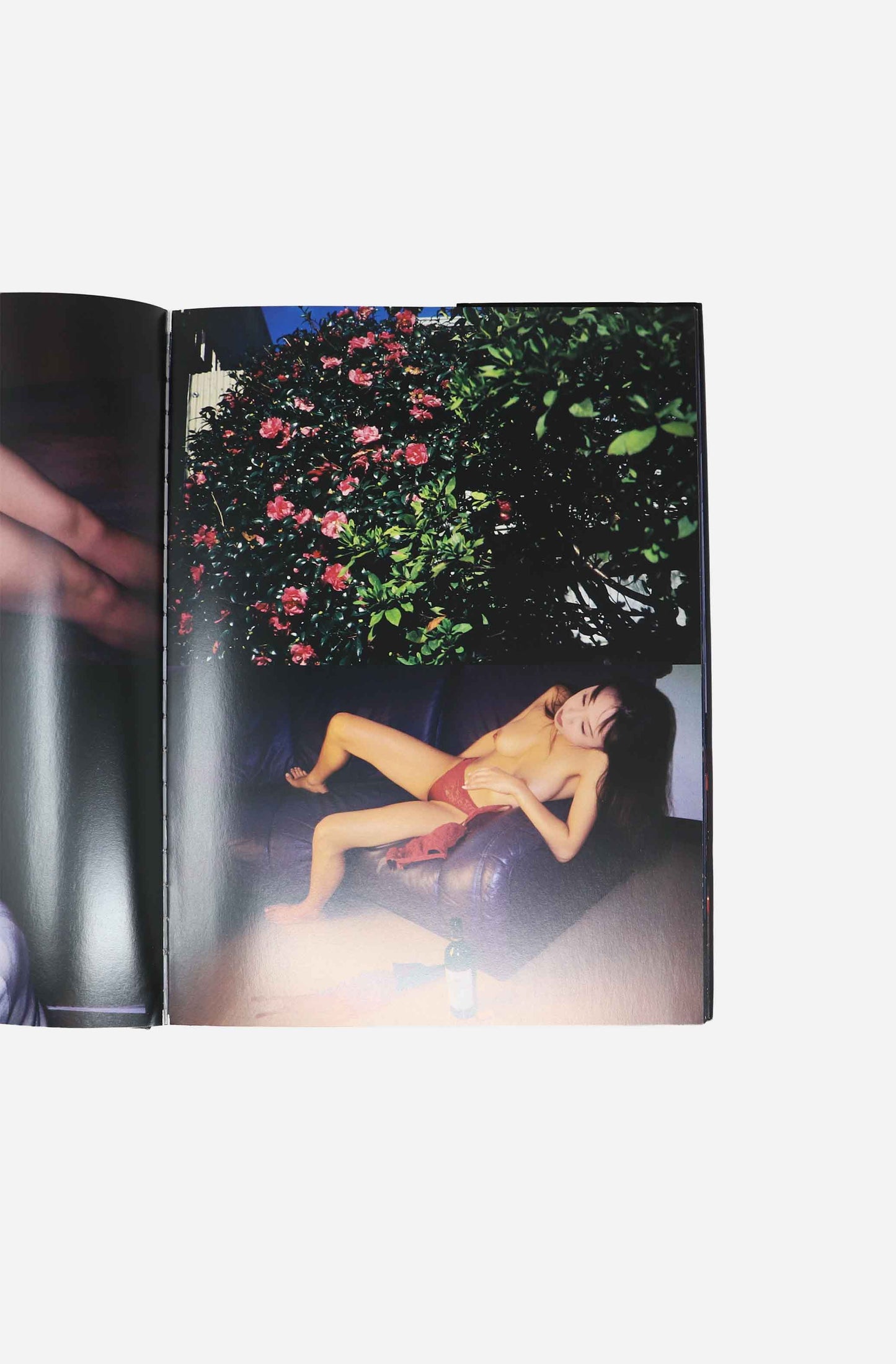 Shikijyo Sexual Desire - Nobuyoshi Araki