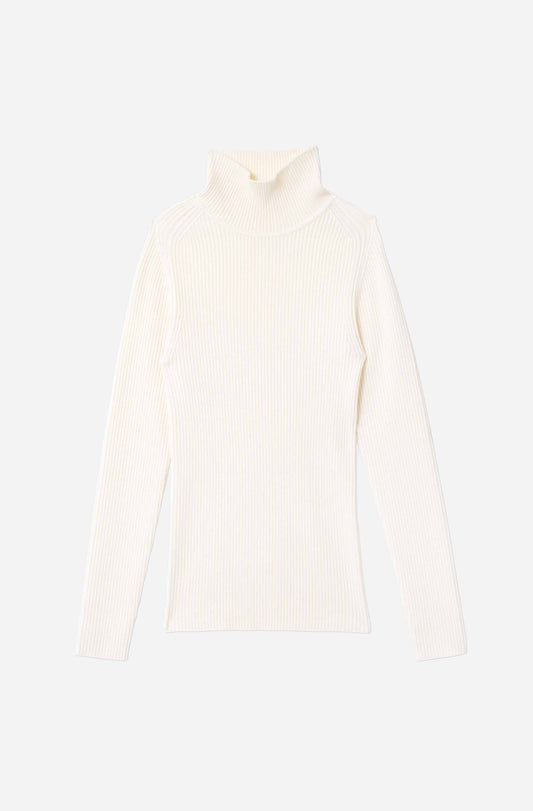 The Classic Turtleneck