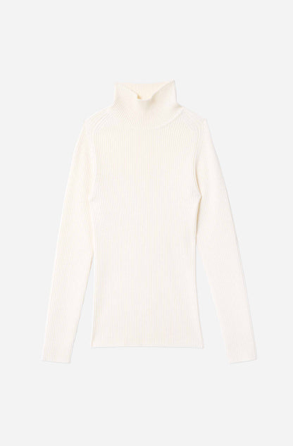 The Classic Turtleneck