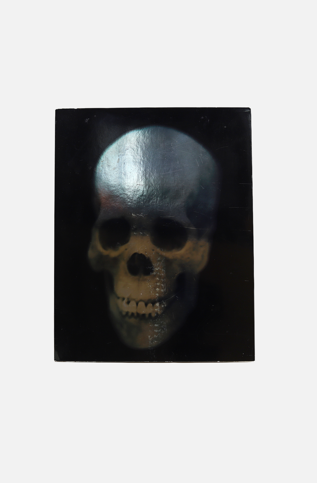 Cheim & Read: I Am As You Will Be: Skeleton In Art - Tricot