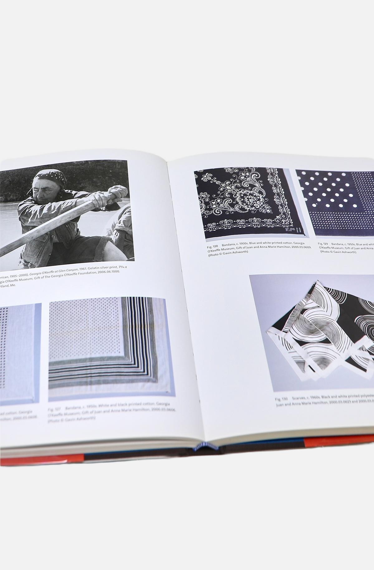 Georgia O'keefe: Living Modern - Brooklyn Museum and Delmonico Books