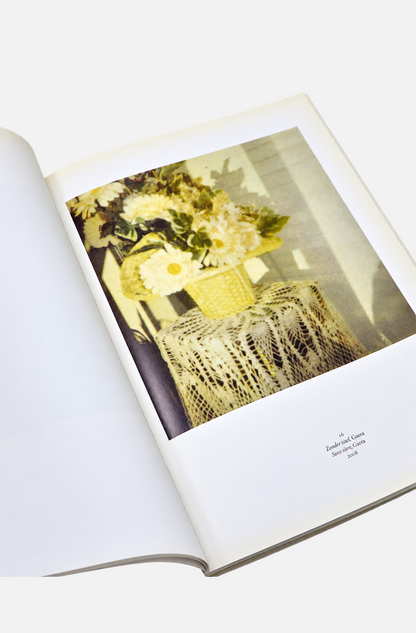 Cy Twombly: Fotografisch werk / Oeuvre Photographique - Ludion