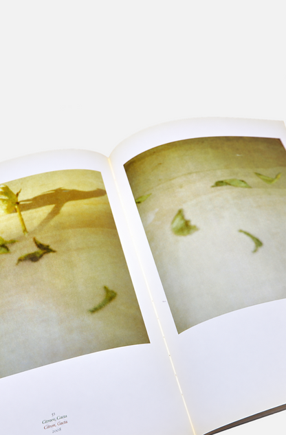 Cy Twombly: Fotografisch werk / Oeuvre Photographique - Ludion